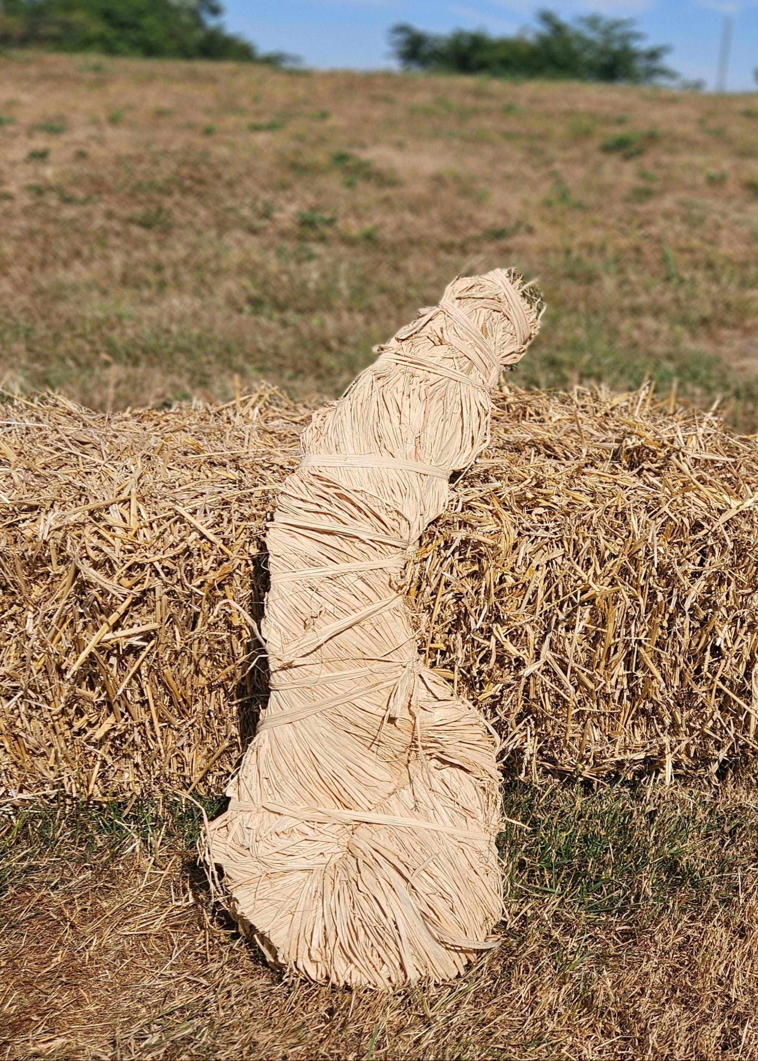 RAFFIA/BASS HANK
