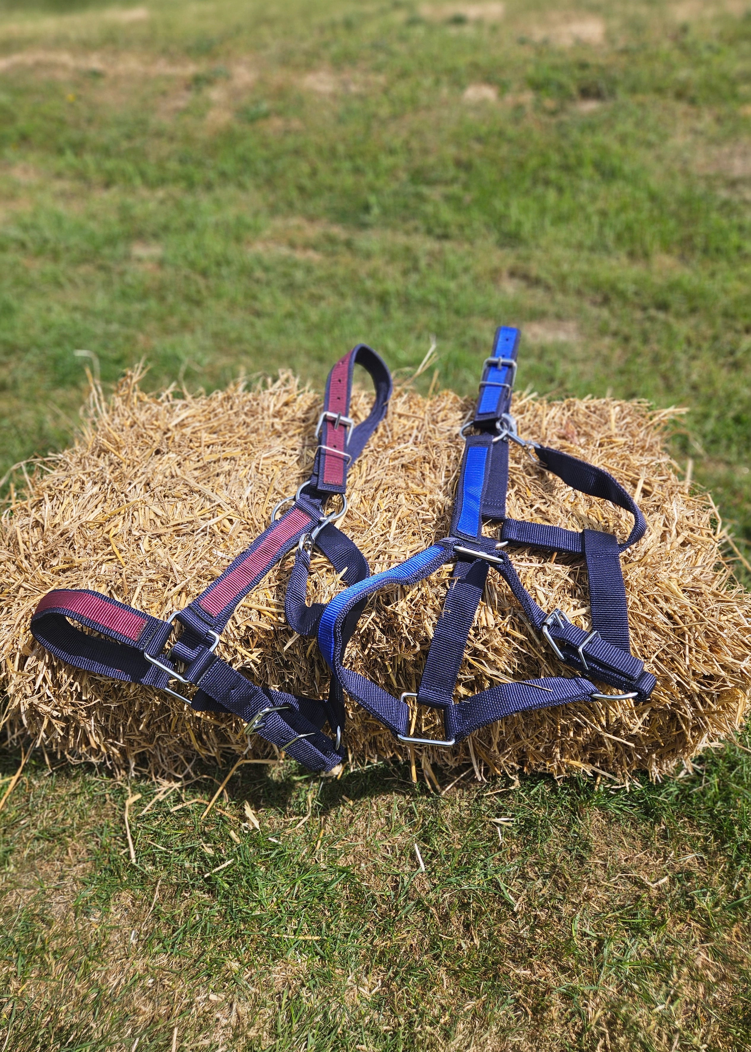 HEAVY HORSE HEADCOLLAR