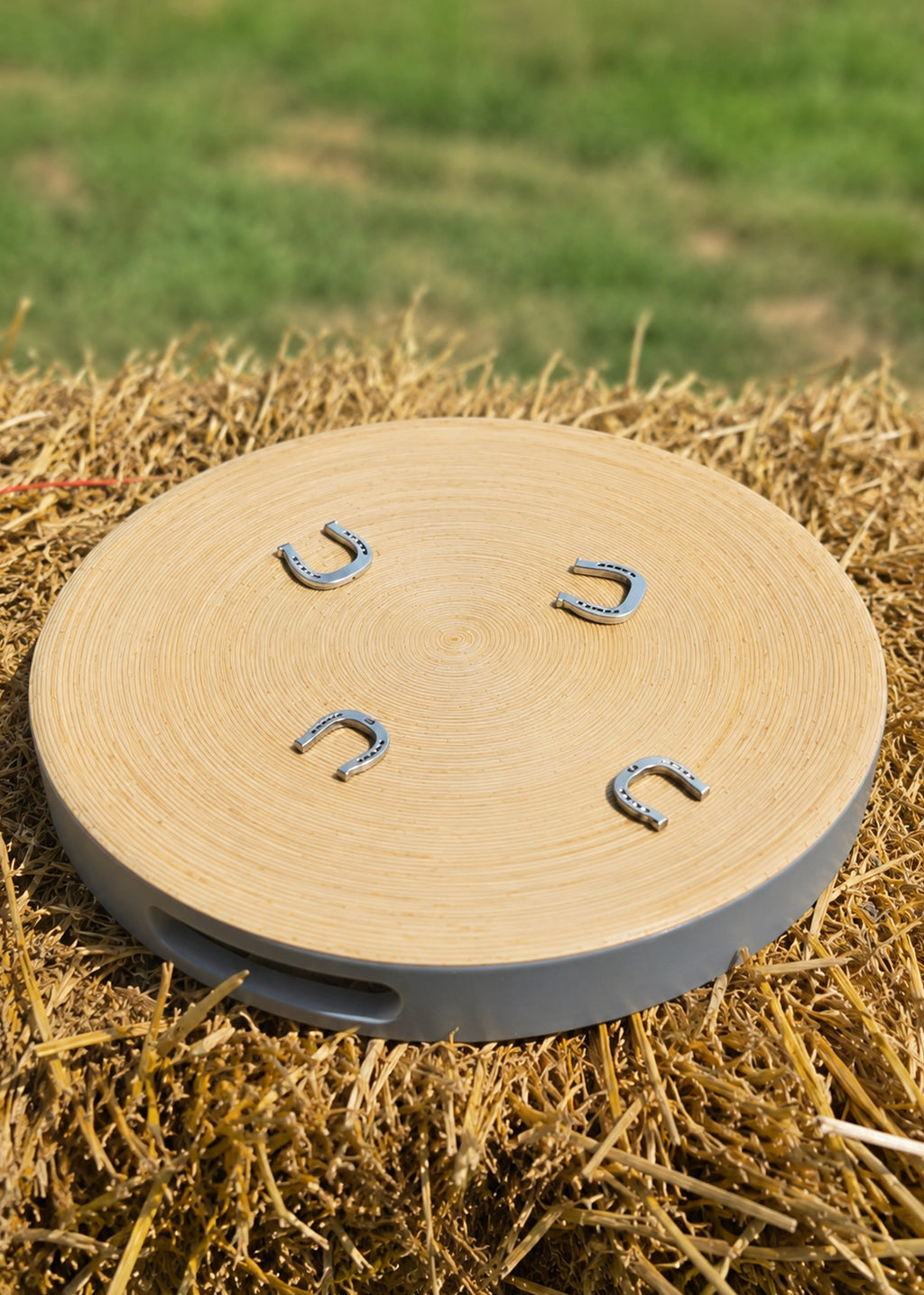DRAFT HORSE SHOE PIN